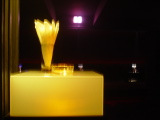 DSC00424.JPG
