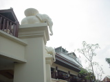 DSC02474.JPG