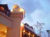 DSC02477.JPG