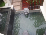 DSC02451.JPG