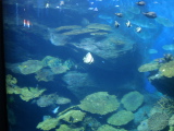 DSC02458.jpg