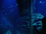 DSC02831.JPG