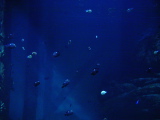 DSC02832.JPG
