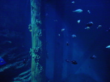 DSC02833.JPG