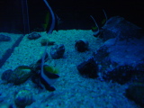 DSC02838.JPG