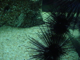 DSC02840.JPG