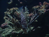 DSC02843.JPG