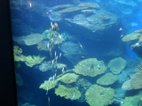 DSC02459.jpg