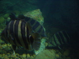 DSC02853.JPG