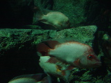 DSC02854.JPG