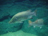 DSC02856.JPG
