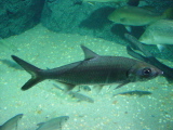 DSC02858.JPG
