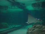 DSC02862.JPG