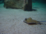 DSC02863.JPG
