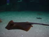 DSC02864.JPG