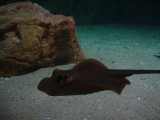 DSC02865.JPG