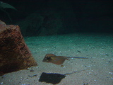 DSC02866.JPG