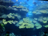 DSC02460.jpg