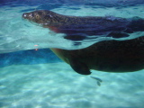 DSC02868.JPG