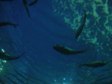 DSC02869.JPG