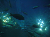DSC02873.JPG