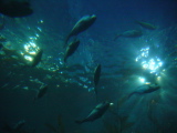 DSC02874.JPG