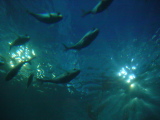 DSC02875.JPG