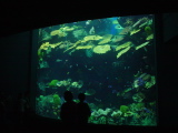 DSC02876.JPG