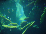 DSC02878.JPG