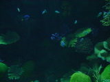 DSC02879.JPG