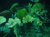 DSC02881.JPG