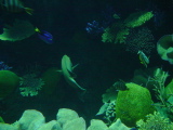 DSC02882.JPG