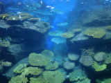 DSC02463.jpg