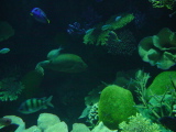 DSC02883.JPG