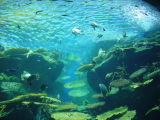 DSC02887.JPG