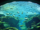 DSC02888.JPG
