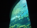 DSC02889.JPG