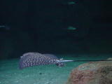 DSC02892.JPG