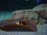 DSC02893.JPG