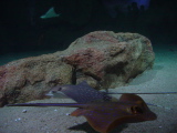 DSC02894.JPG