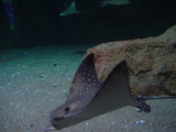 DSC02895.JPG