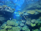 DSC02464.jpg