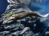 DSC02465.jpg