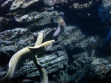DSC02466.jpg
