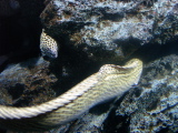 DSC02467.jpg