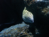 DSC02468.jpg