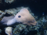 DSC02469.jpg