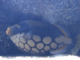 DSC02471.jpg