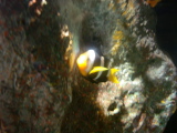 DSC02480.jpg