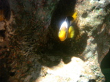DSC02483.jpg